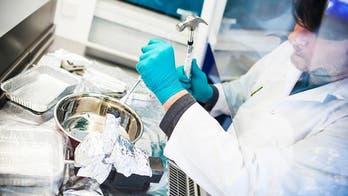 Intraterrestrials: life thrives IN ocean floor