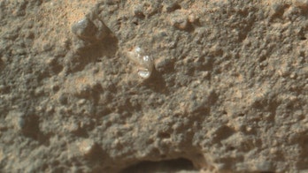 Curiosity rover finds 'flower' on Mars
