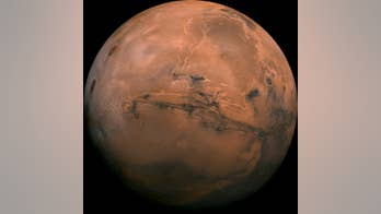 Are Mars' Trojan asteroids pieces of the red planet?