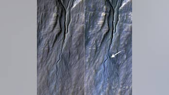 NASA discovers new gully on Mars