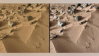 Mars dirt similar to Hawaiian volcanic soil