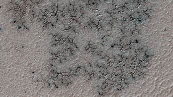 'Spiders' on Mars: Citizen scientists investigate strange Martian terrain