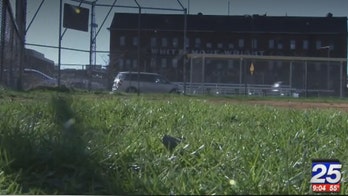 Massachusetts boy, 9, in critical condition after being hit by line drive