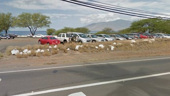 Woman says she was bitten by large shark in waters off Maui coast