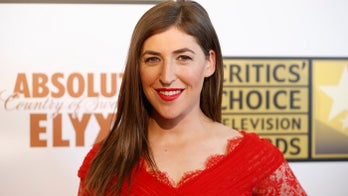 'Big Bang Theory' star Mayim Bialik slams NRA, calls for 'civil disobedience' to change gun laws