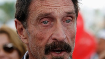 'Eccentric millionaire' John McAfee joins the presidential race