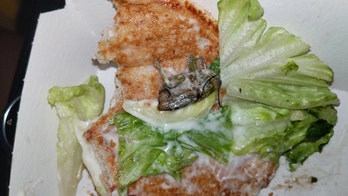 Mom claims son found 'huge bug' in McDonald's chicken sandwich