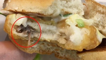 McDonald's customer claims she found dead mouse in McChicken