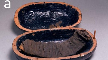 'Meat mummies' fed Egyptians after death