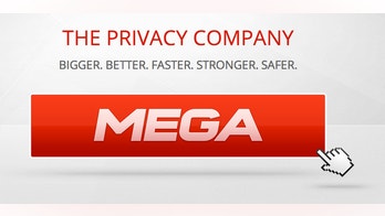 Mega 101: everything you need to know