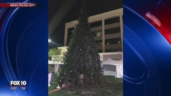 Arizona man accused of burning down $40,000 Christmas tree