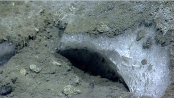 Hundreds of methane plumes erupting along East Coast