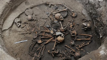 Interlocked spiral of ancient skeletons unearthed in Mexico City