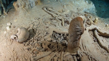 Looted skeleton could be among the oldest in the Americas