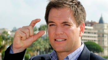 'NCIS' alum Michael Weatherly rolls the dice with 'Bull'