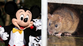 Man sues Disney Parks, claims rat bit him at Magic Kingdom
