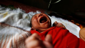 Approved tapeworm drug may offer babies protection from Zika