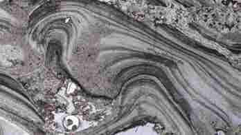 Scientists may have discovered the oldest evidence of life on land