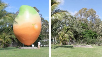 Giant mango tourist attraction disappears from small Australian town