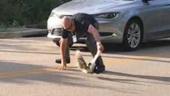 Missouri deputy comes to aid of stuck skunk