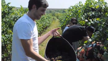 The unexplored wine region of Moldova