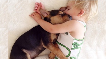 The 16 most famous animals on the Internet