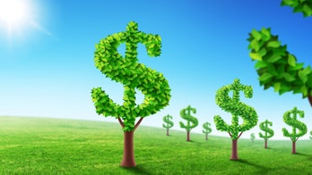 Trees May Not Grow Money, but They Do Have Financial Benefits
