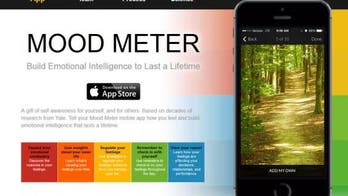 Mood Meter: Build Emotional Intelligence to Last a Lifetime