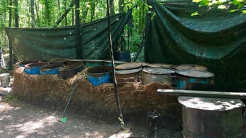 Illegal moonshine operation discovered in Alabama woods