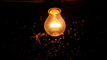 Tech Q&A: App to repel mosquitoes, unclaimed money, grocery lists and more