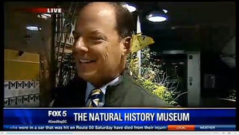 Moth lays two eggs in reporter's ear on live TV