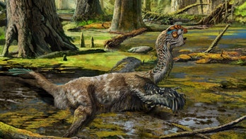 'Mud Dragon' dinosaur unearthed in China