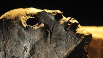 This 4,000-year-old mummy just solved a century-old mystery