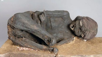 Mummy murder mystery solved: Incan woman's head smashed