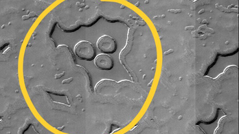 Muppet on Mars? NASA image from the Red Planet sparks comparisons to famous puppet