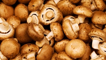 Mushroom extract may help treat obesity, but it's no magic cure