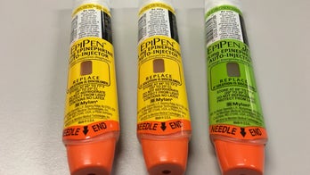 Mylan launches cheaper version of EpiPen allergy treatment