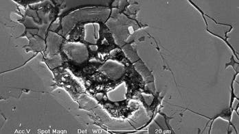 Martian mystery: What is odd cell-like structure in Mars meteorite?