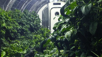 NASA inflatable greenhouse could help feed astronauts on other planets