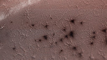 NASA shares creepy image of 'spiders' on Mars