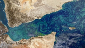 The ocean's 'Twilight Zone' is affecting Earth's climate