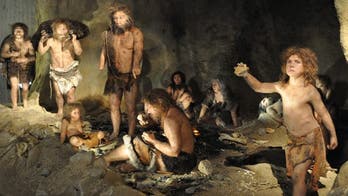 Researchers publish full Neanderthal genome