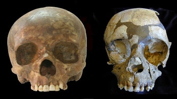 Fossil teeth suggest humans played role in Neanderthal extinction