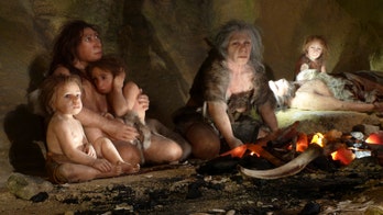 Why Neanderthals likely fathered few kids with modern humans