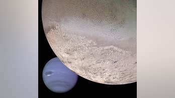Neptune's moon, Triton, is a homewrecker