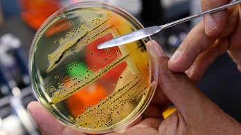 The dirty dozen: UN issues list of 12 most worrying bacteria
