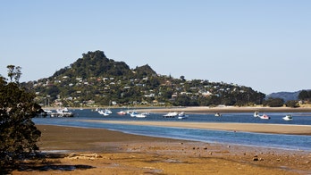 New Zealanders built tiny island to avoid alcohol ban for New Year's