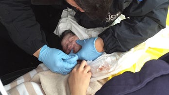 Baby born on FDR Drive during rush hour