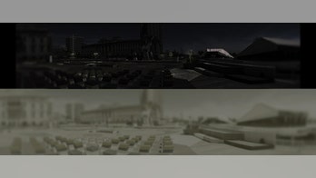 Cats and dogs may see in ultraviolet