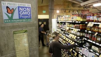 It is okay to eat genetically modified foods?